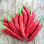 Piment Sucette de Provence