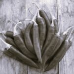 Piment Sucette de Provence - Indisponible