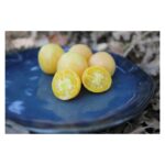 Tomate Peche Blanche♥