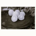 Tomate Peche Blanche - Indisponible♥